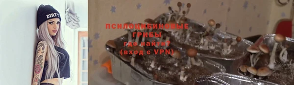 бутират Струнино