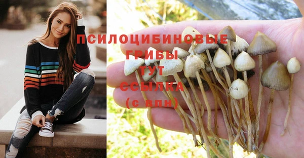 MDMA Алзамай