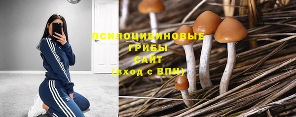 COCAINE Строитель