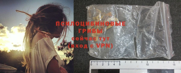 таблы Тайга