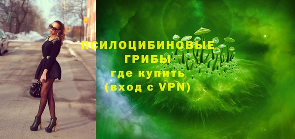 твердый Алексеевка