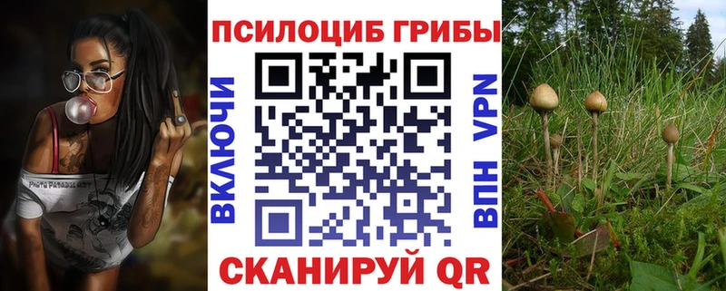 сколько стоит  omg маркетплейс  Галлюциногенные грибы MAGIC MUSHROOMS  Тырныауз 